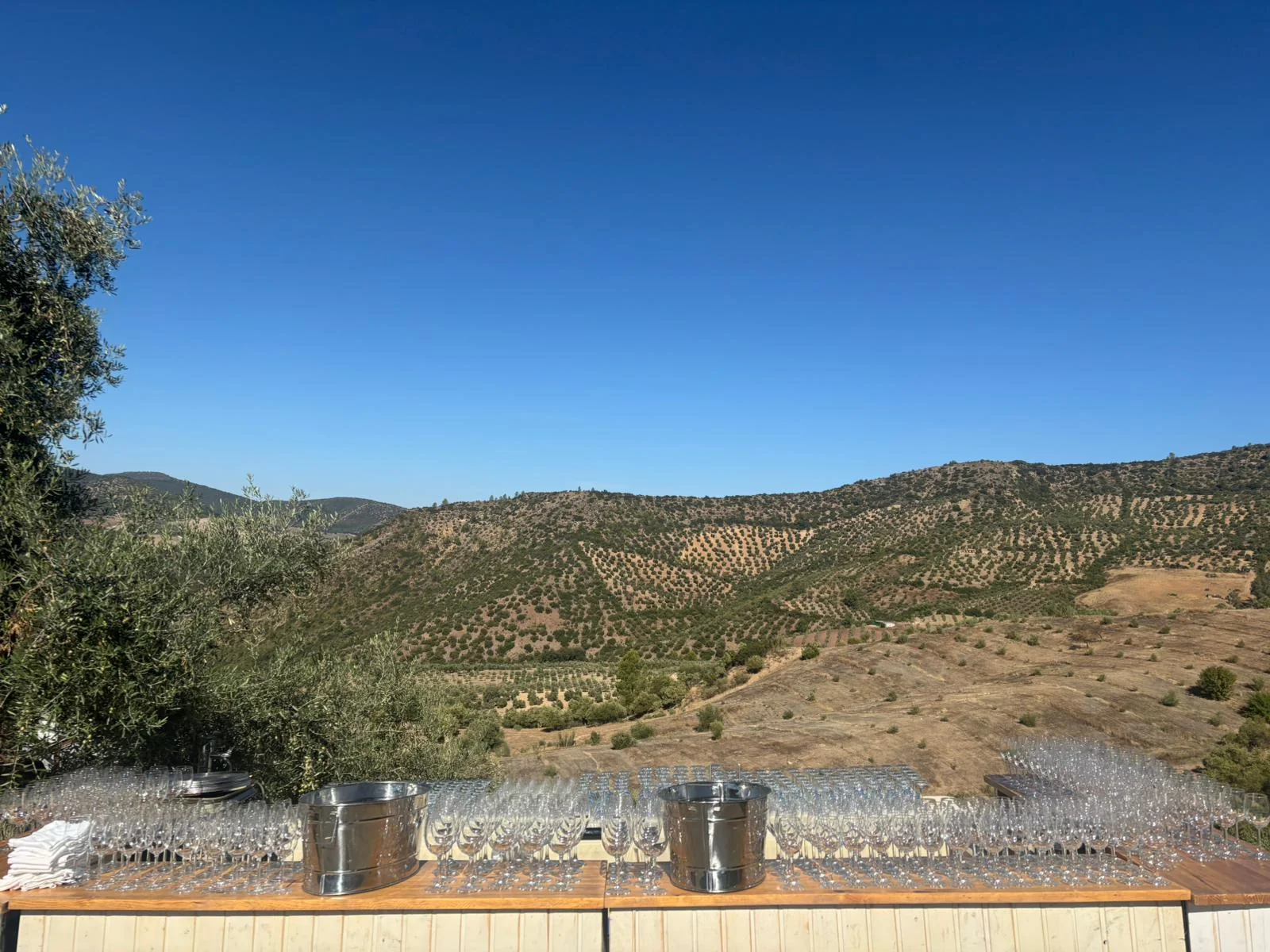 Bar en la Encina.jpg